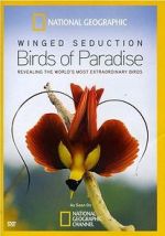 Watch Winged Seduction: Birds of Paradise Watch123movies