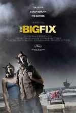 Watch The Big Fix Watch123movies