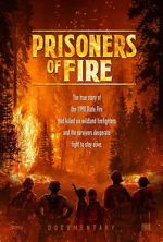 Watch Prisoners of Fire Watch123movies
