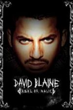 Watch David Blaine: Real or Magic Watch123movies