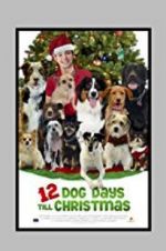 Watch 12 Dog Days Till Christmas Watch123movies