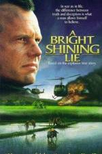 Watch A Bright Shining Lie Watch123movies