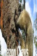Watch National Geographic Wild Amazon Claws Watch123movies