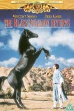 Watch The Black Stallion Returns Watch123movies