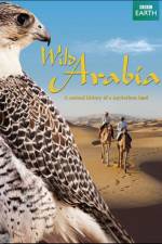 Watch Wild Arabia Watch123movies