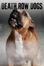 Watch Death Row Dogs Watch123movies