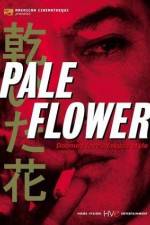 Watch Kawaita hana Watch123movies