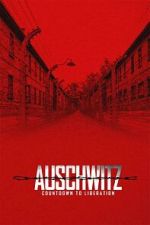 Watch Auschwitz: Countdown to Liberation Watch123movies