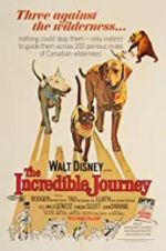 Watch The Incredible Journey Watch123movies