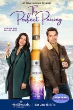 Watch The Perfect Pairing Watch123movies
