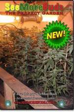 Watch SeeMoreBuds: Vol. 3 Watch123movies