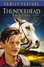 Watch Thunderhead - Son of Flicka Watch123movies