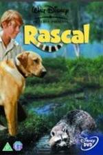 Watch Rascal Watch123movies