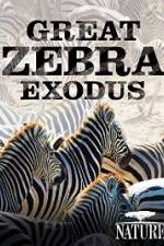 Watch Nature: Great Zebra Exodus Watch123movies