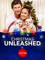Watch A Doggone Christmas Watch123movies