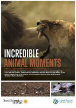 Watch Incredible Animal Moments Watch123movies