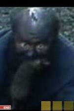 Watch The Legend of Catman Watch123movies