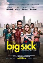Watch The Big Sick Watch123movies