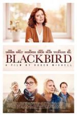 Watch Blackbird Watch123movies