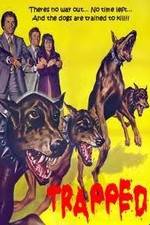 Watch Trapped Watch123movies