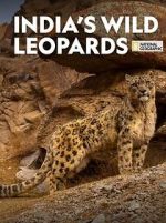 Watch India\'s Wild Leopards (Short 2020) Watch123movies