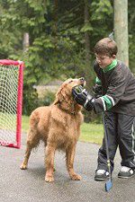 Watch Deck the Halls Watch123movies