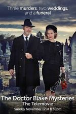 Watch The Doctor Blake Mysteries: Family Portrait Watch123movies