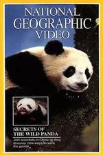 Watch Secrets of the Wild Panda Watch123movies