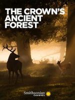 Watch The Crown\'s Ancient Forest Watch123movies