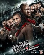 Watch WWE Survivor Series WarGames (TV Special 2024) Watch123movies