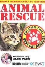 Watch Animal Rescue, Volume 2: Best Cat Rescues Watch123movies