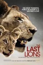 Watch The Last Lions Watch123movies