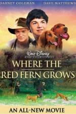 Watch Where the Red Fern Grows Watch123movies