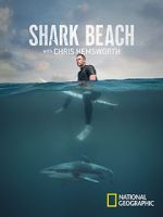 Watch Shark Beach with Chris Hemsworth (TV Special 2021) Watch123movies
