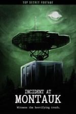 Watch Incident at Montauk Watch123movies