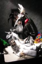 Watch Ornithology Watch123movies