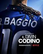 Watch Baggio: The Divine Ponytail Watch123movies