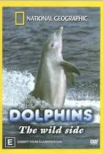 Watch Dolphins: The Wild Side Watch123movies