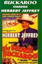 Watch The Bronze Buckaroo Watch123movies
