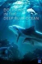 Watch Dolphins in the Deep Blue Ocean Watch123movies