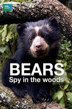 Watch Bears: Spy in the Woods Watch123movies