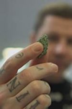 Watch Professor Green: Is It Time to Legalise Weed? Watch123movies
