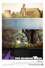 Watch The Learning Tree Watch123movies