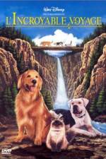 Watch Homeward Bound: The Incredible Journey Watch123movies