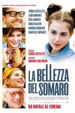 Watch La bellezza del somaro Watch123movies