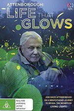 Watch Attenborough\'s Life That Glows Watch123movies