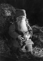 Watch Tomten Watch123movies