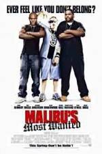Watch Malibu's Most Wanted Watch123movies