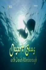 Watch National Geographic Desert Seas Watch123movies