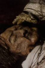 Watch The Separation Watch123movies